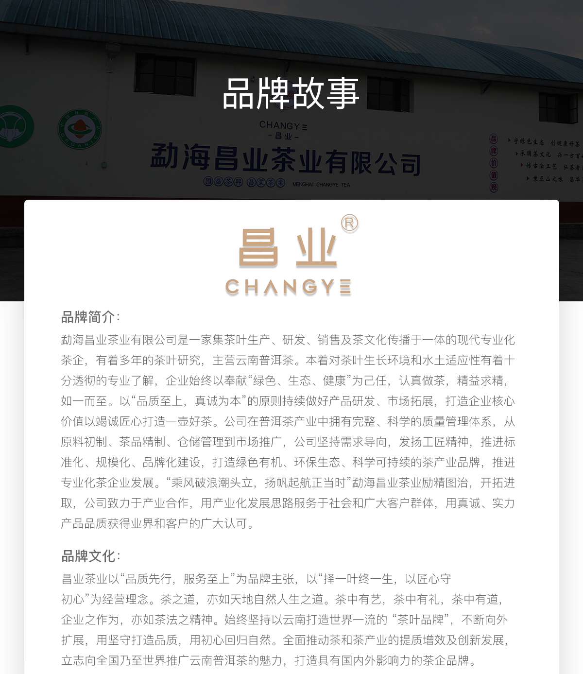 文化333_01.jpg